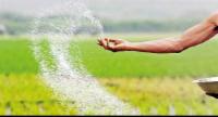බාල පොහොර සොයා දිවයින පුරා විමර්ශන